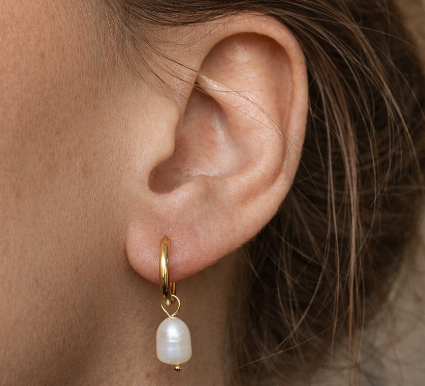 Snowdrop Hoops